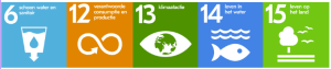 De Duurzame Ontwikkelingsdoelstellingen (SDG's)