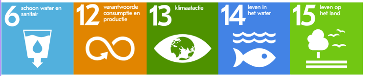 De Duurzame Ontwikkelingsdoelstellingen (SDG's)