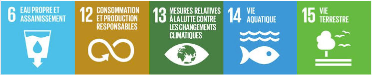 Les Objectifs de développement durable (ODD ou SDGs)